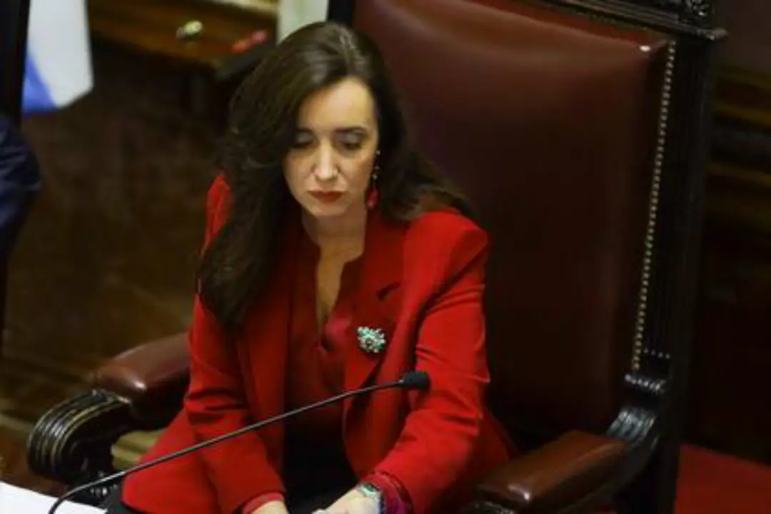 Por un voto, el Senado rechazó la ley de Ficha Limpia