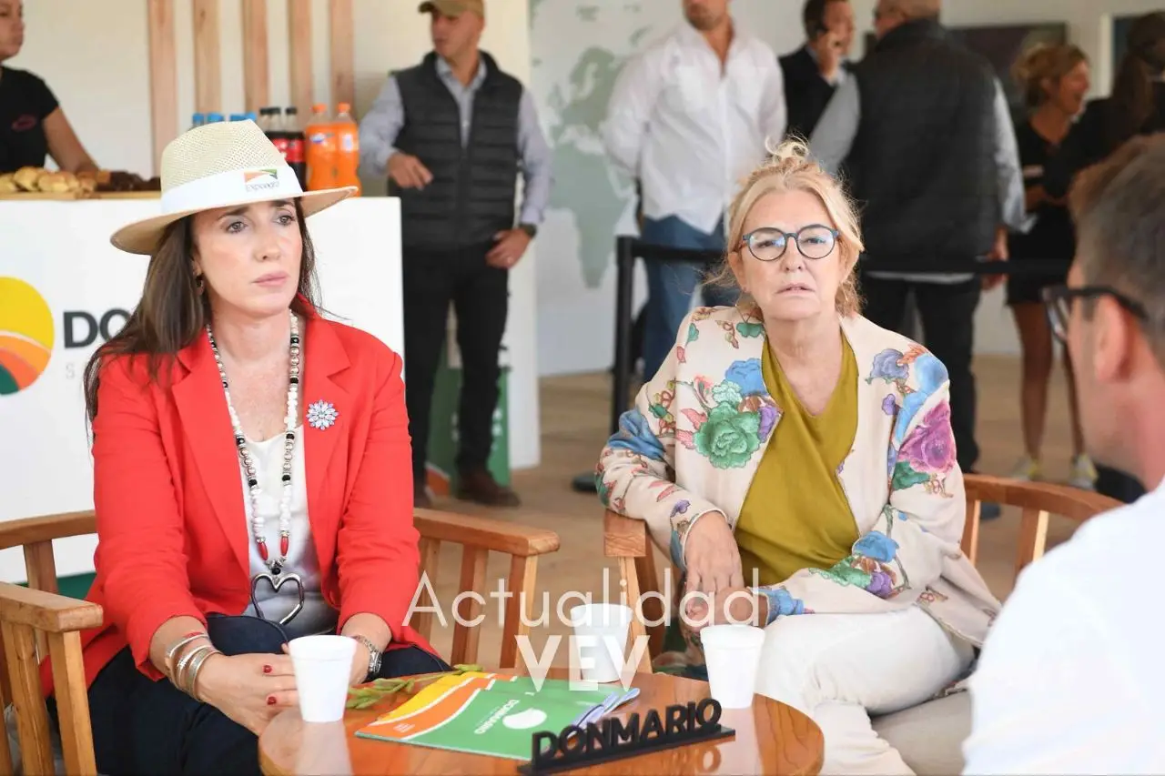 vvExpoagro13