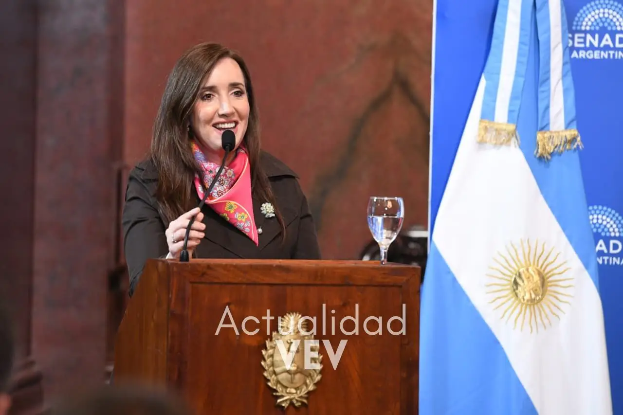senado-dip-1