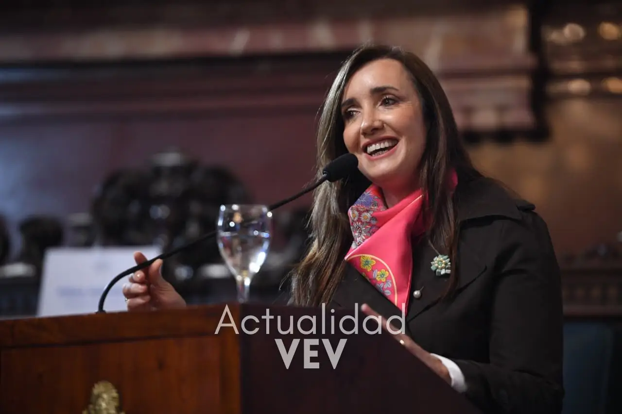 senado-dip-2
