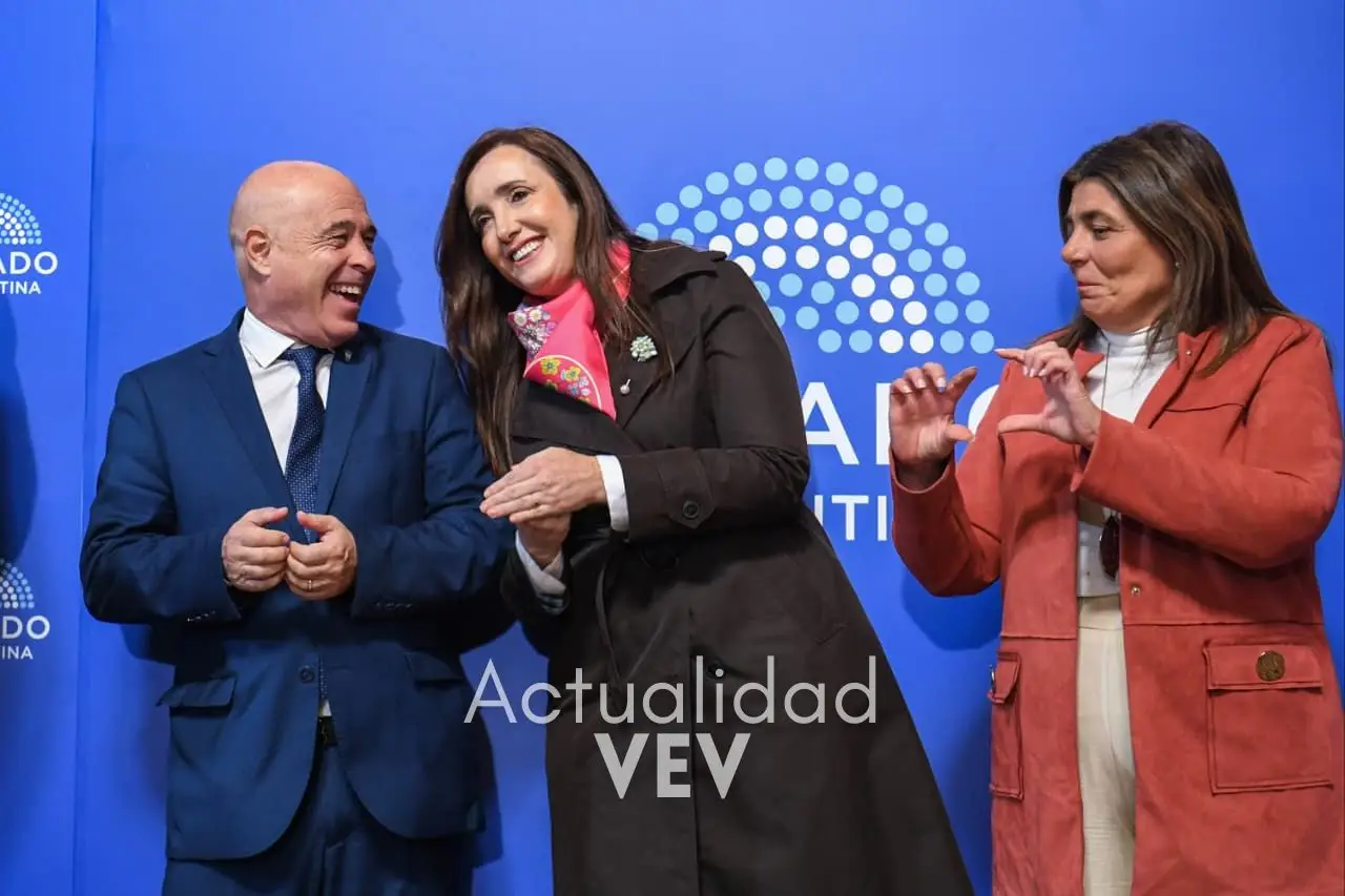 senado-dip-3