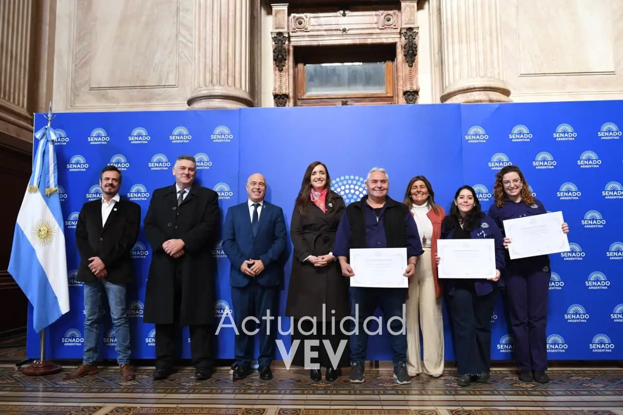 senado-dip-4
