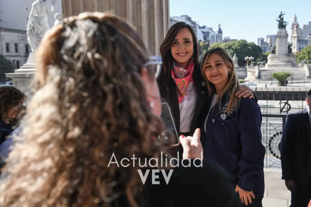 senado-dip-6
