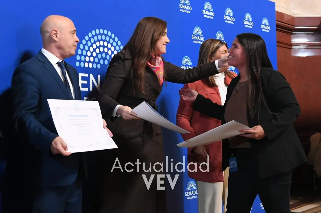 senado-dip-7
