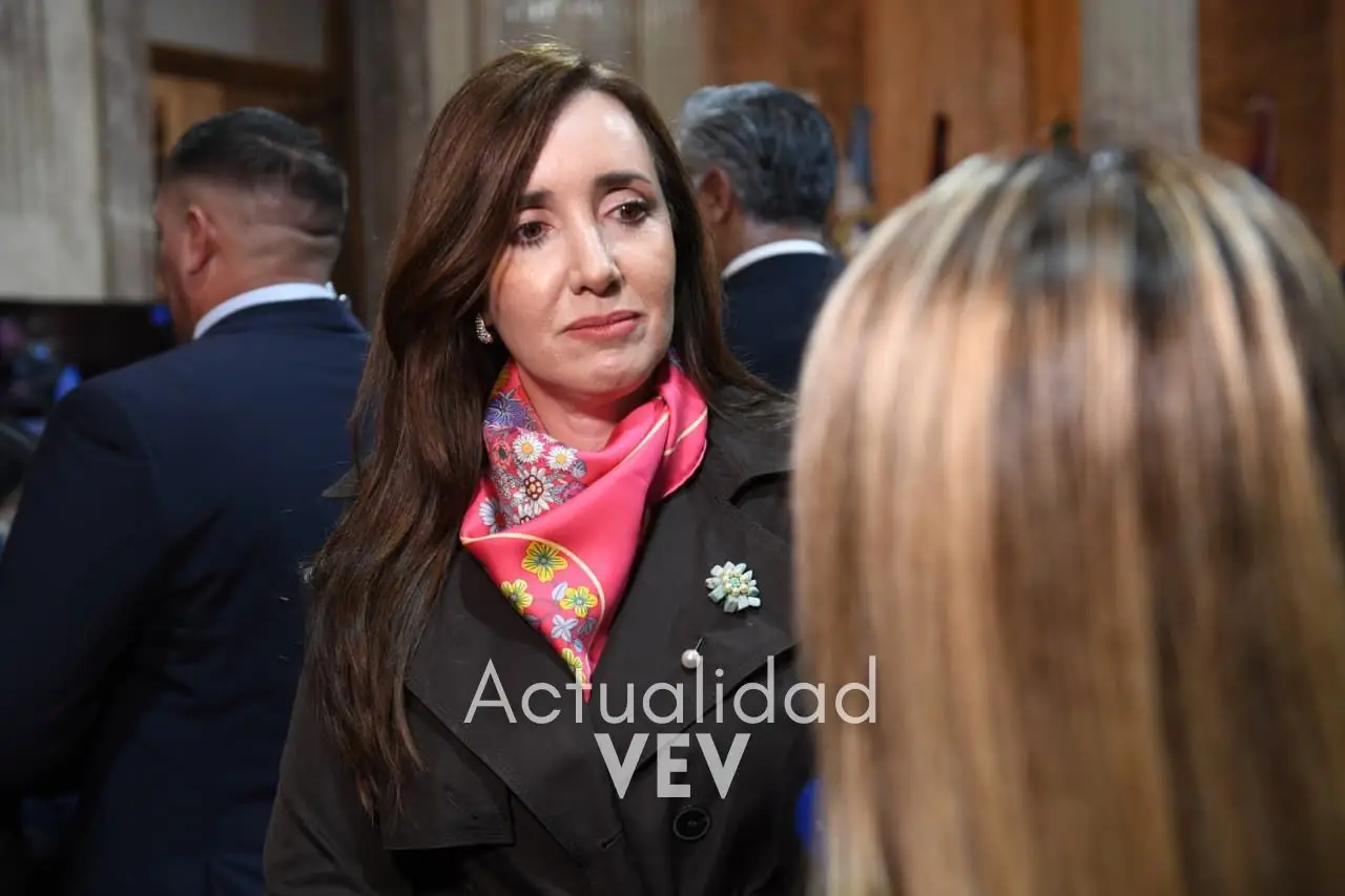 senado-dip-8