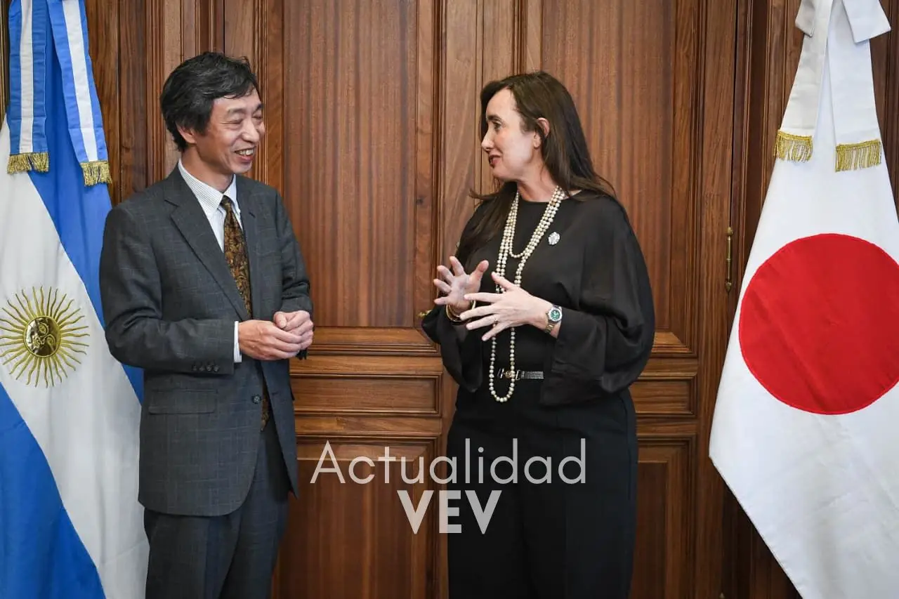 japon-vv-4
